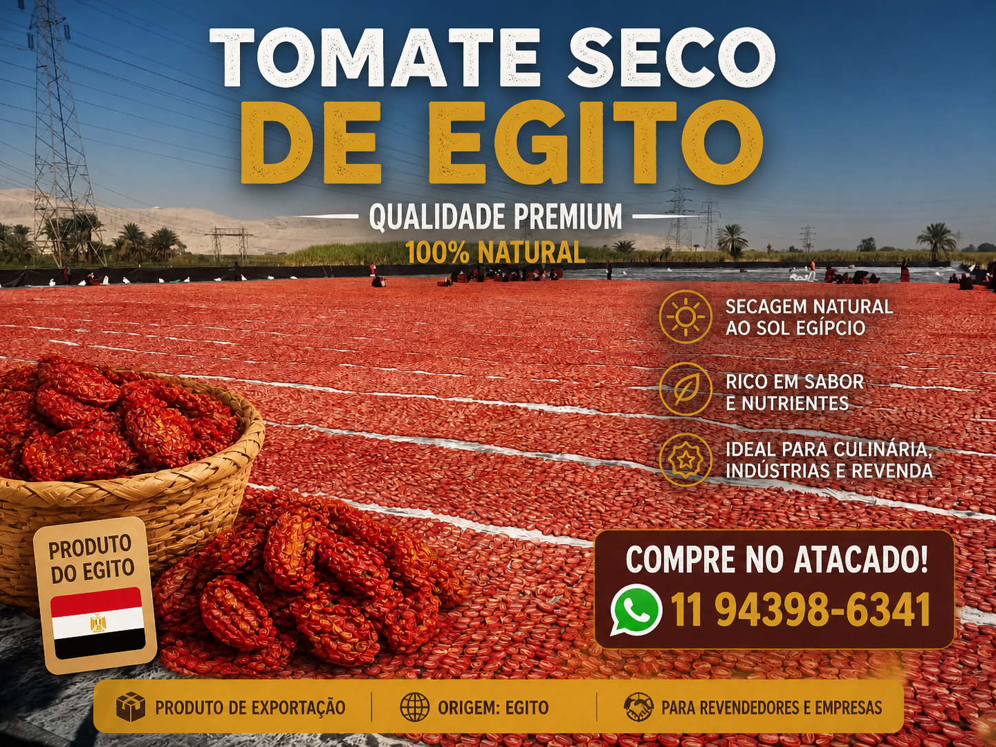 Tomate seco do Egito para importação no Brasil. Produto premium, natural, com sal ou temperado. Exportação em container, entrega em todos os portos brasileiros. Solicite cotação no atacado.